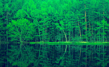カーボンニュートラル実現をサポート