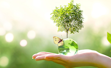 カーボン・オフセット印刷